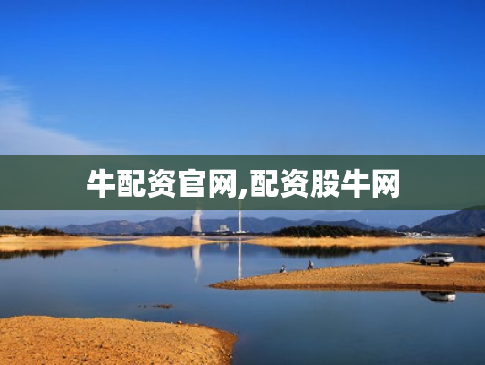 牛配资官网,配资股牛网