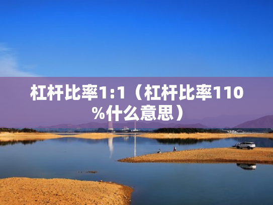 杠杆比率1:1（杠杆比率110%什么意思）