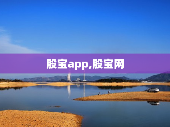 股宝app,股宝网