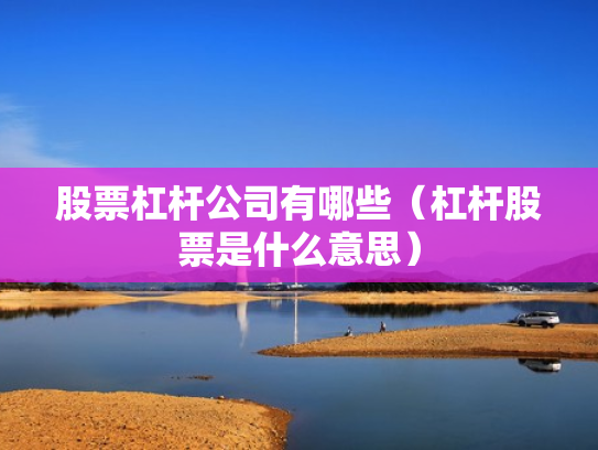 股票杠杆公司有哪些（杠杆股票是什么意思）