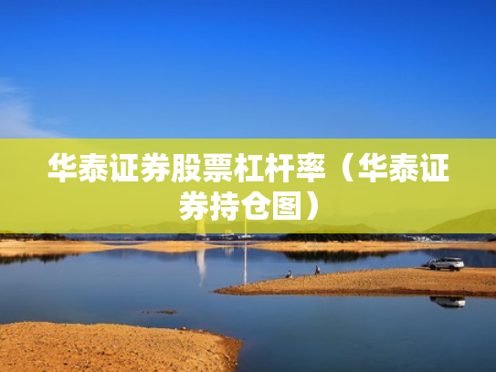 华泰证券股票杠杆率（华泰证券持仓图）