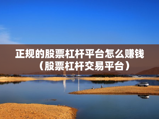 正规的股票杠杆平台怎么赚钱（股票杠杆交易平台）