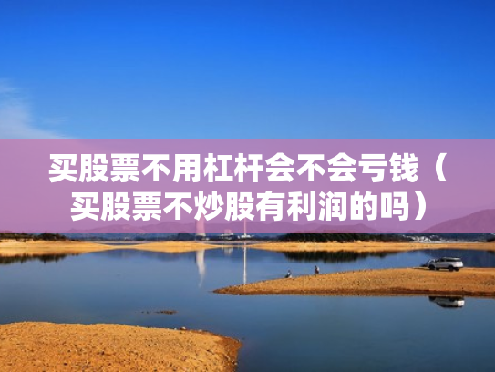 买股票不用杠杆会不会亏钱（买股票不炒股有利润的吗）