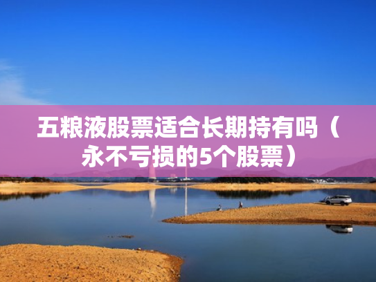 五粮液股票适合长期持有吗（永不亏损的5个股票）