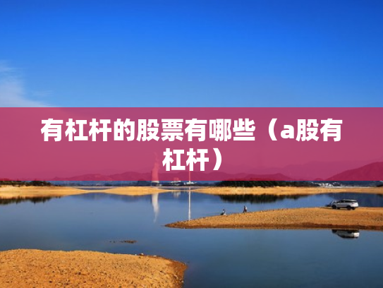 有杠杆的股票有哪些（a股有杠杆）