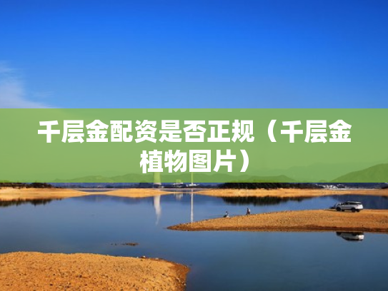千层金配资是否正规（千层金植物图片）