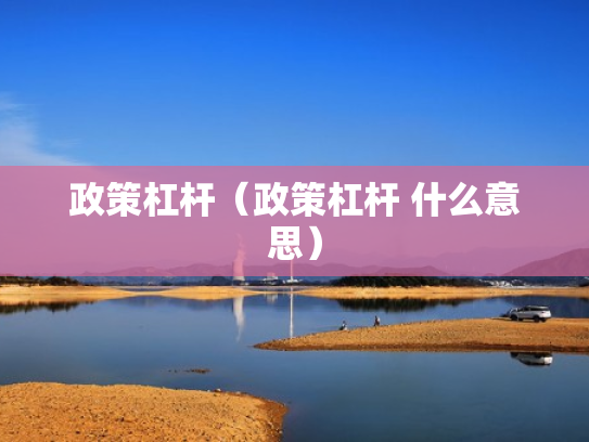 政策杠杆（政策杠杆 什么意思）