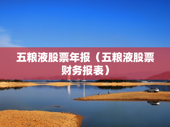 五粮液股票年报（五粮液股票财务报表）
