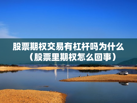 股票期权交易有杠杆吗为什么（股票里期权怎么回事）