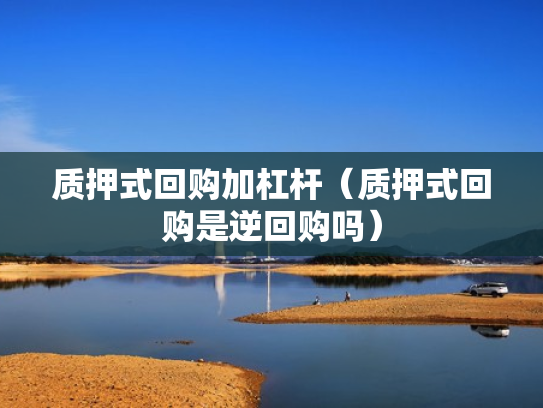 质押式回购加杠杆（质押式回购是逆回购吗）