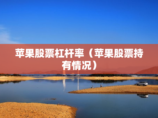 苹果股票杠杆率（苹果股票持有情况）
