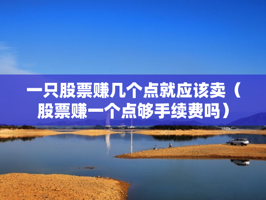一只股票赚几个点就应该卖（股票赚一个点够手续费吗）