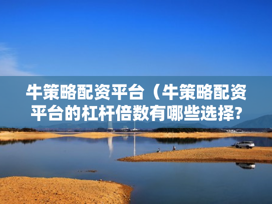 牛策略配资平台（牛策略配资平台的杠杆倍数有哪些选择?）