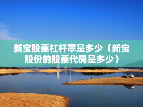 新宝股票杠杆率是多少（新宝股份的股票代码是多少）