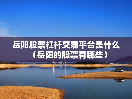 岳阳股票杠杆交易平台是什么（岳阳的股票有哪些）