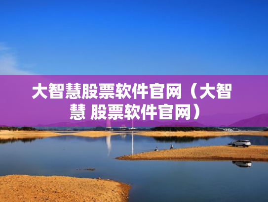 大智慧股票软件官网（大智 慧 股票软件官网）