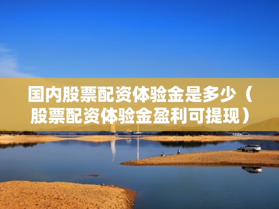 国内股票配资体验金是多少（股票配资体验金盈利可提现）