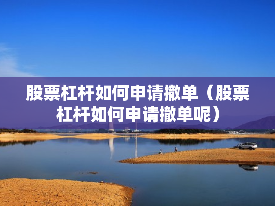 股票杠杆如何申请撤单（股票杠杆如何申请撤单呢）